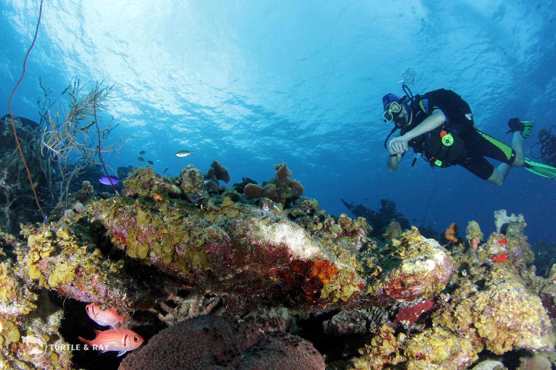 Lagun Blou Resort Curacao Luaran gambar