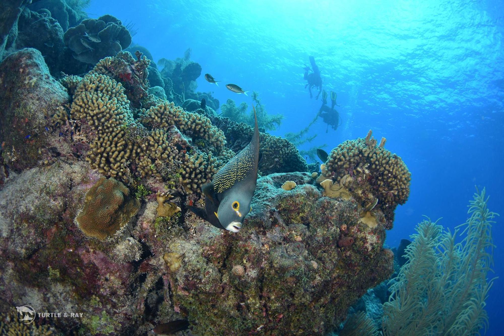 Lagun Blou Resort Curacao Luaran gambar
