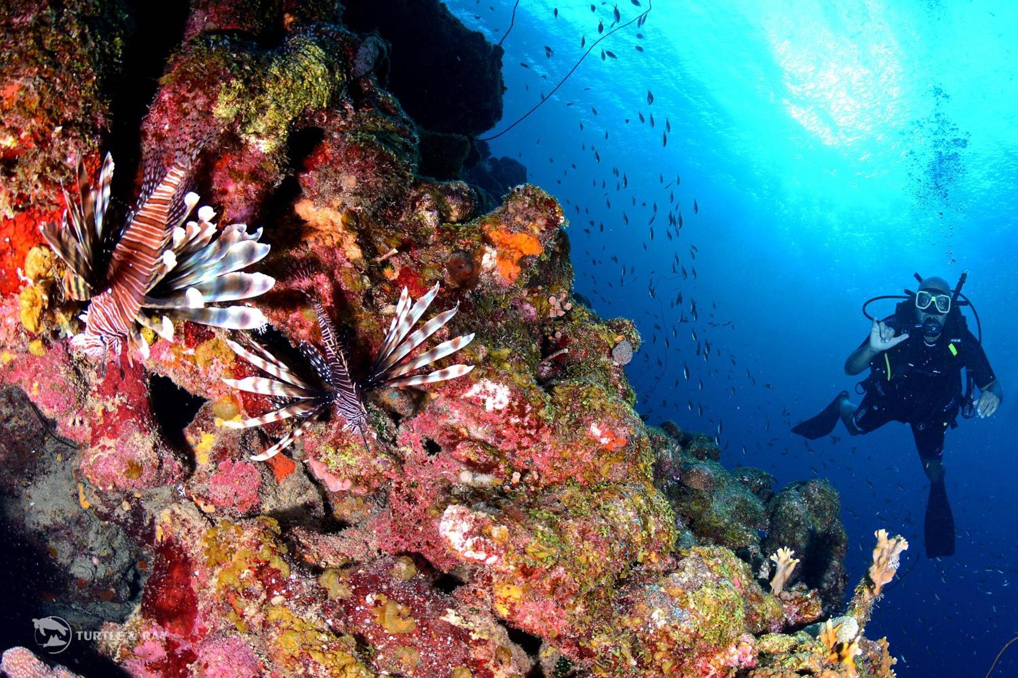 Lagun Blou Resort Curacao Luaran gambar